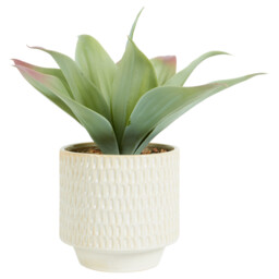 Faux Agave Plant in Dimpled Pot - Green - thumbnail 1