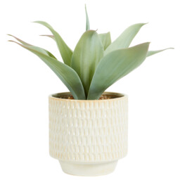 Faux Agave Plant in Dimpled Pot - Green - thumbnail 2