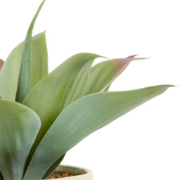 Faux Agave Plant in Dimpled Pot - Green - thumbnail 4
