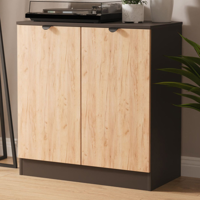 Crowndale Bora 2 Door Gold Craft Oak and Graphite Storage Cabinet Ready Assembled - image 1