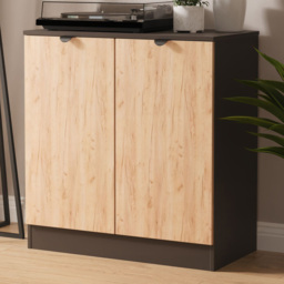 Crowndale Bora 2 Door Gold Craft Oak and Graphite Storage Cabinet Ready Assembled - thumbnail 1