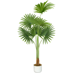 Fan Palm Tree Artificial Indoor House Plant 120cm - thumbnail 1