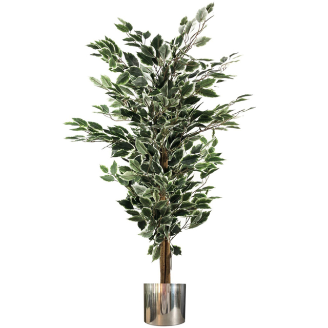Leaf White Edge Bushy Ficus Leaf Artificial Plant with Silver Metal Planter 130cm - image 1