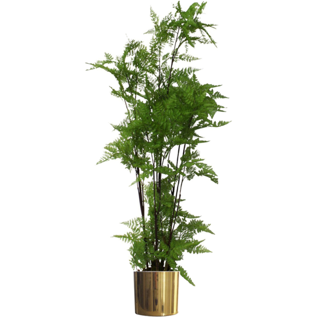 Leaf Moss Base Natural Fern Foliage Artificial Plant with Gold Metal Planter 150cm - image 1
