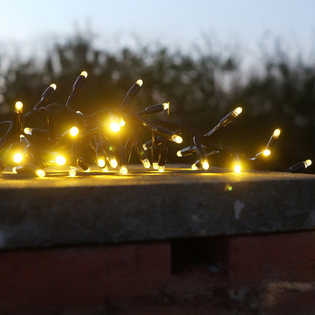 Eagle Connect 250 Warm White LED Cluster Light 5m - image 1