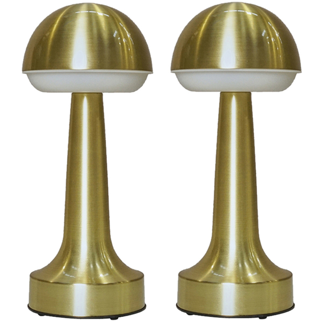 ValueLights Troy 2 Pack Satin Brass LED Table Lamp - image 1