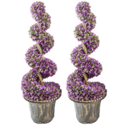 Leaf Purple Spiral Topiary Tree in Decorative Planter 90cm 2 Pack - thumbnail 1