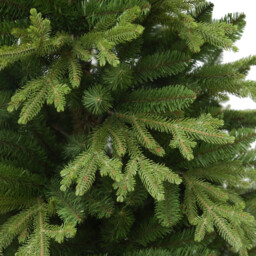 Ashford Fir Tree Green 6ft - thumbnail 3