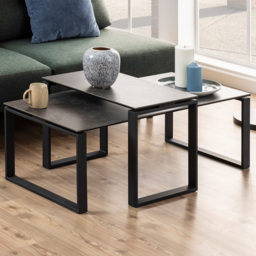 Florence Katrine Black Ceramic Coffee Table Set of 2