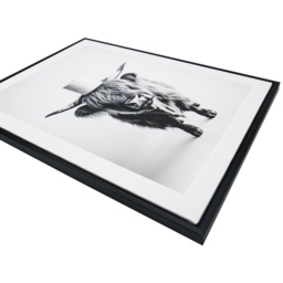 Bathroom Animals Framed Print - thumbnail 3