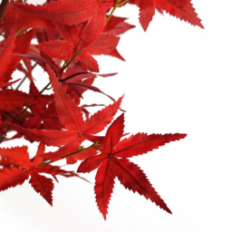 Leaf Red Maple Artificial Tree 120cm - thumbnail 2