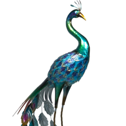 St Helens Blue Metal Peacock Garden Ornament - thumbnail 3