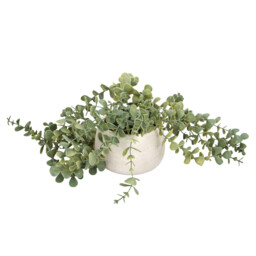 Green Trailing Eucalyptus Artificial Plant in Wash Pot 52cm - thumbnail 1