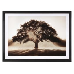 Multicolour Embellished Sunlit Tree Framed Wall Art 84 x 114cm - thumbnail 1