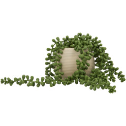 Green String of Pearls Artificial Plant in Ribbed Pot 27cm - thumbnail 2