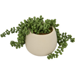Green String of Pearls Artificial Plant in Ribbed Pot 27cm - thumbnail 3