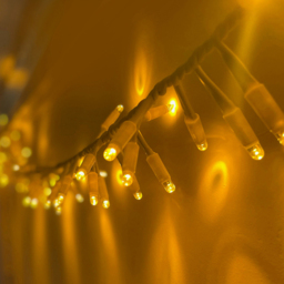 Eagle Connect White Cable 1250 Gold LED Cluster Light 25m