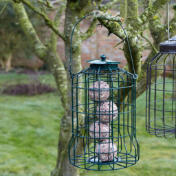 Gardman Squirrel Proof Wild Bird Fat Snax Energy Balls Feeder - thumbnail 2