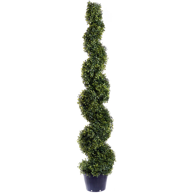 5ft Green Boxwood Spiral Topiary Tree - image 1