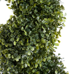 5ft Green Boxwood Spiral Topiary Tree - thumbnail 2