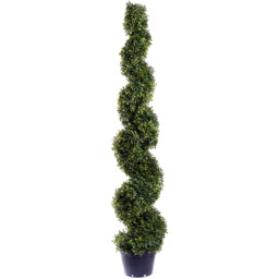 5ft Green Boxwood Spiral Topiary Tree - thumbnail 1