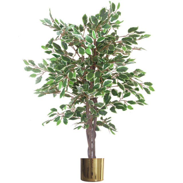 Leaf White Edge Twist Ficus Leaf Artificial Plant with Gold Metal Planter 130cm - image 1