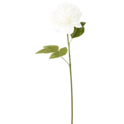 Single Yellow or Cream Pom Single Stem Artificial Flower 65cm in Assorted styles - thumbnail 2