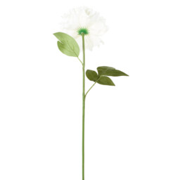 Single Yellow or Cream Pom Single Stem Artificial Flower 65cm in Assorted styles - thumbnail 4