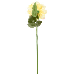 Single Yellow or Cream Pom Single Stem Artificial Flower 65cm in Assorted styles - thumbnail 3