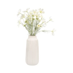 Cosmos Vase Arrangement White - thumbnail 1
