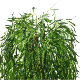 Living and Home Willow Tree Artificial Plant in Pot 180cm - thumbnail 3