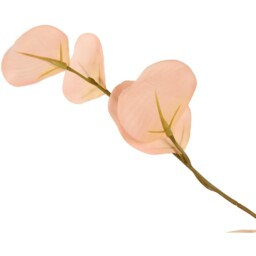 Artificial Eucalyptus Branch Pink - thumbnail 2