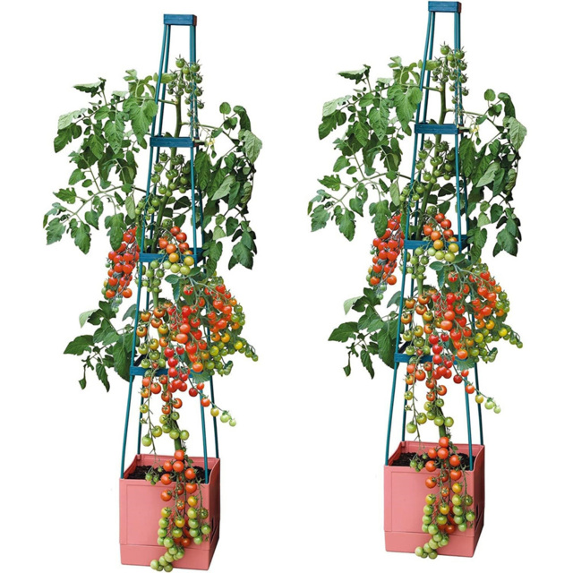 Garden Gear 4 Tier Self Watering Tomato Tower 2 Pack - image 1