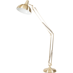 Pacific Lifestyle Alonzo Adjustable Brass Metal Floor Lamp