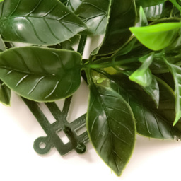 50cm Yellow Laurel Hedging Mat - thumbnail 3