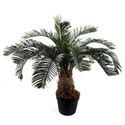 Leaf Cycas Palm Artificial Tree 60cm - thumbnail 1