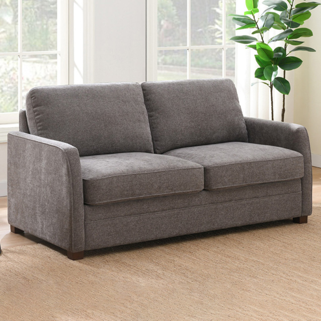 Canarsie Stone Full Foam 2 Seater Sofa Bed - image 1