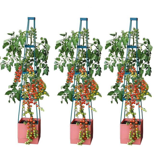 Garden Gear 4 Tier Self Watering Tomato Tower 3 Pack - image 1