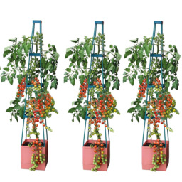 Garden Gear 4 Tier Self Watering Tomato Tower 3 Pack - thumbnail 1