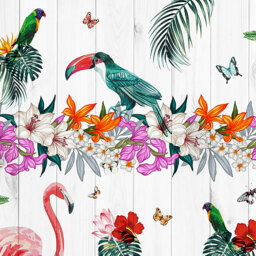 Origin Murals Birds Of Paradise Multicolour Wall Mural - thumbnail 2