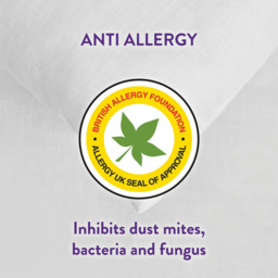 White Anti Allergy Pillows 2 Pack - thumbnail 3