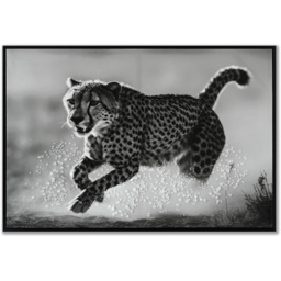 Monochrome Cheetah Framed Print - Black - thumbnail 1