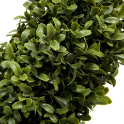 GreenBrokers Artificial Boxwood Spiral Tree 90cm - thumbnail 4