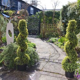 GreenBrokers Artificial Boxwood Spiral Tree 90cm - thumbnail 2