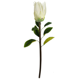Leaf Single Stem White Protea Sugarbush Artificial Flower 65cm 6 Pack - thumbnail 2