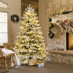 StarBright Pre Lit Flocked Warm White LED Artificial Christmas Tree 6ft - thumbnail 2
