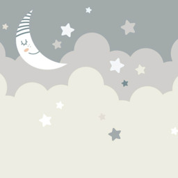 Origin Murals Nighttime Children's Sky Grey Wall Mural - thumbnail 2