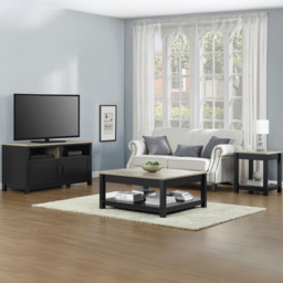 Dorel Carver 2 Door 2 Shelf TV Stand - thumbnail 4