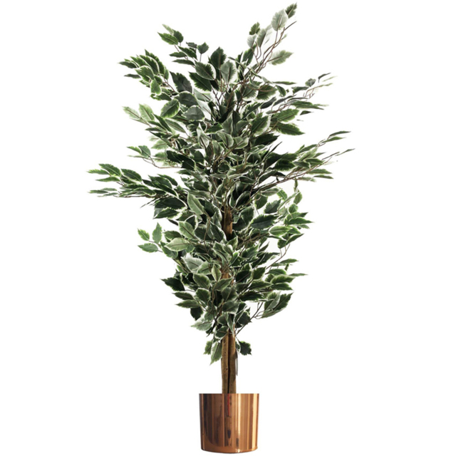 Leaf White Edge Bushy Ficus Leaf Artificial Plant with Copper Metal Planter 130cm - image 1