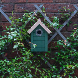 St Helens Green Wooden Bird House - thumbnail 3